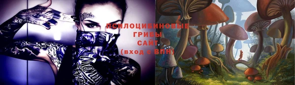 дмт Вяземский