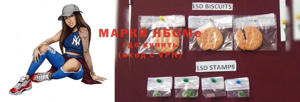 дмт Вяземский