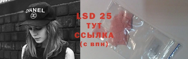 дмт Вяземский