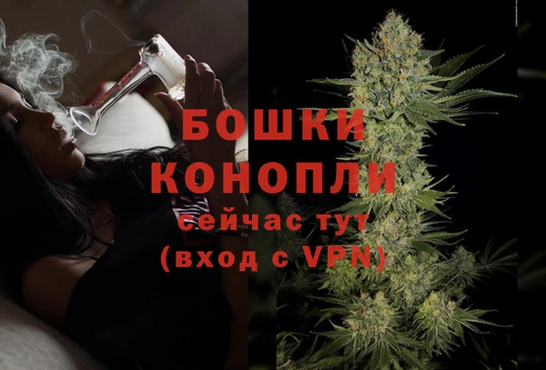 дмт Вяземский