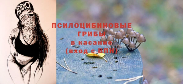 дмт Вяземский