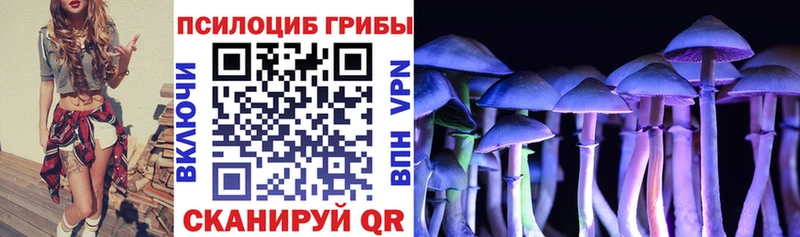 Псилоцибиновые грибы Magic Shrooms  хочу   Калач-на-Дону 